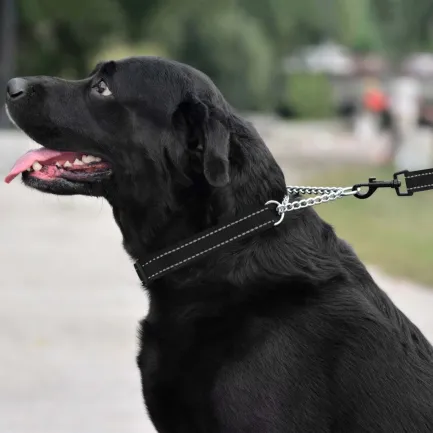 Нашийник для Собак Мартингейл BronzeDog Active нейлоновий зі світловідбиттям Чорний L — Фото 4