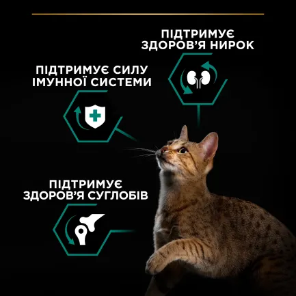 Сухий корм PRO PLAN Adult 1+ Renal Plus для дорослих котів з куркою 10 кг — Фото 5