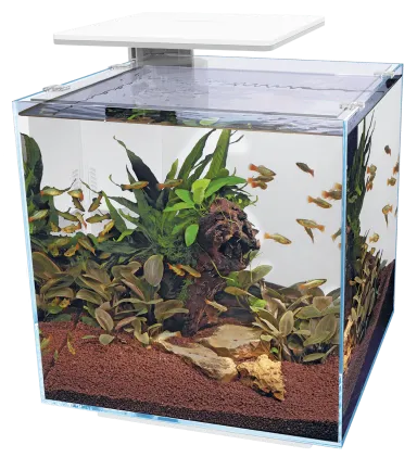 Акваріумний набір SuperFish QubiQ 60 LED White (A4050900)