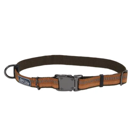 Coastal K9 Explorer Collar КОСТАЛ К9 ЕКСПЛОРЕР світловідбивний нашийник для собак, 2.5х30-46см Полум’я