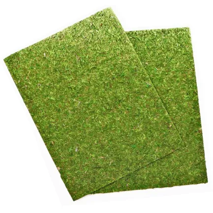 Фон моховий Repti-Zoo Natural Moss Back &amp; Bottom 20x30см 2шт. (NCM3020) — Фото 1