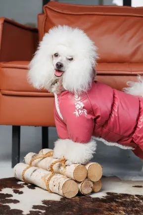 Комбінезон Pet Fashion Cherry S дівчинка для собак — Фото 5