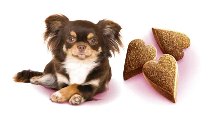 Ласощі Brit Care Mini Treats Mood для собак малих порід, проти стресу, з ягням, смак ванілі, 50 г — Фото 2