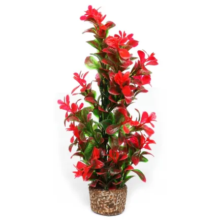 Штучна рослина Hobby Flora Stone 7 25см (51536)
