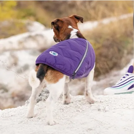Жилет Pet Fashion «E.Vest» для собак, розмір XS2, фіолетовий — Фото 4