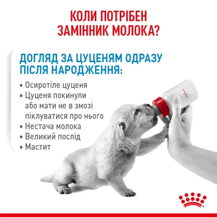 Сухий корм Royal Canin BABYDOG MILK для цуценят всіх порід 2 кг — Фото 5