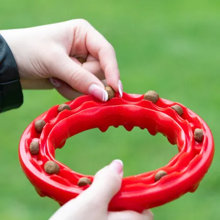 Ferplast SMILE M RED DOG RING — Фото 2