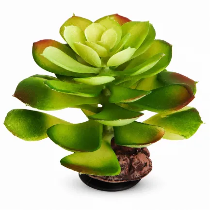 Штучна рослина Hobby Terra Succulent 4 17 см (37733) для тераріуму, акватераріуму та палюдаріуму