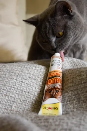 Паста для котів з чутливим травленням GimCat DUO PASTE Anti-hairball malt with cheese мальт та сир, 50 г — Фото 3