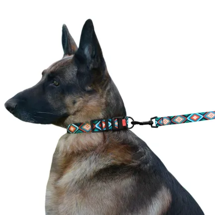 Повідець для Собак Bronzedog Urban Нейлоновий Ромби XS — Фото 4