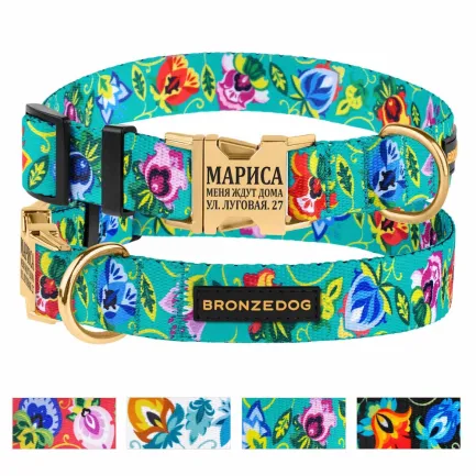 Нашийник для собак Bronzedog Urban Folk нейлоновий з металевою пряжкою золотистого кольору ментоловий XL — Фото 2