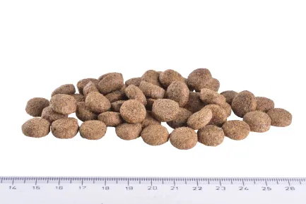 Сухий корм Brit GF VetDiet Dog Obesity для собак, корекція ваги, з ягням, індичкою та горохом, 2 кг — Фото 4