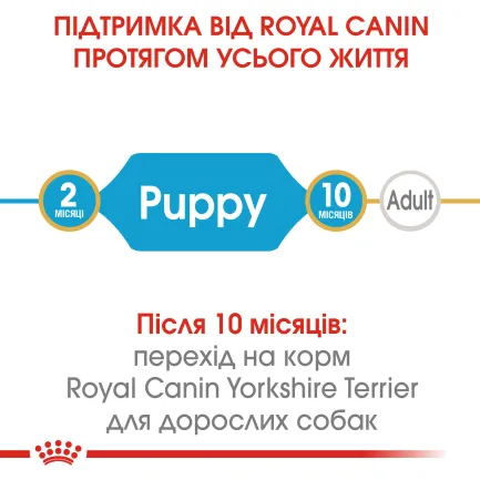 Сухий корм Royal Canin YORKSHIRE PUPPY для цуценят породи Йоркшир-тер'єр 0,5 кг + WET MINI PUPPY 85 г — Фото 4