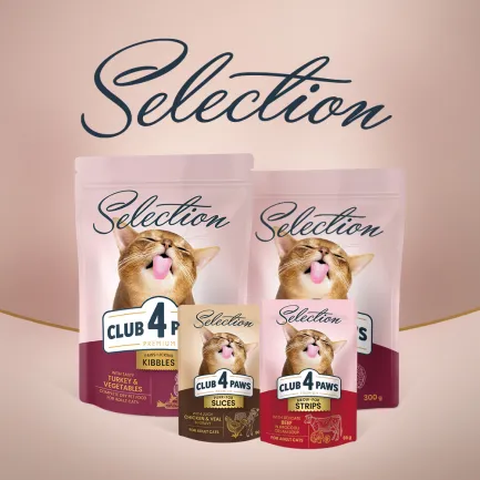 C4P Premium Селекшн "З качкою та овочами". Сухий корм для дор котів 0,3 кг — Фото 1