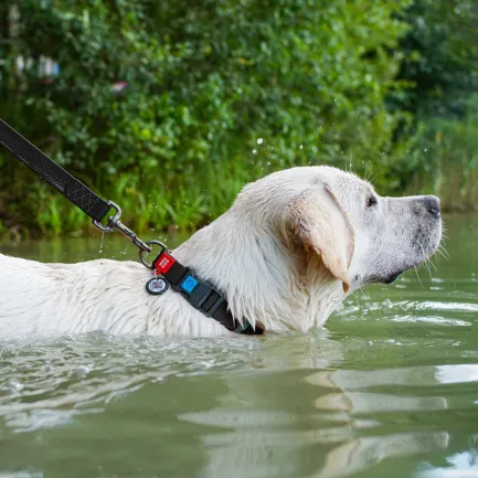 Нашийник для собак водостійкий WAUDOG Waterproof c QR паспортом, пластикова пряжка-фастекс, Ш 25 мм, Дов 38-58 см, чорний — Фото 1