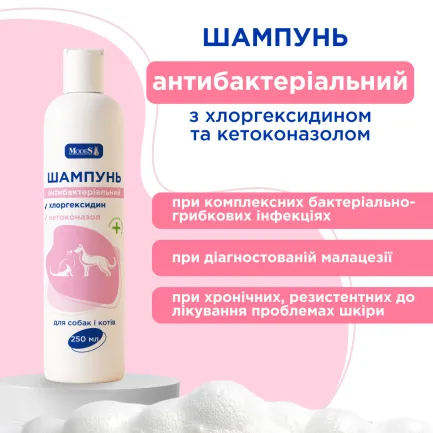 Шампунь антибактеріальний з хлоргексидином і кетоконазолом для собак і котів, 250 мл, MODES — Фото 1