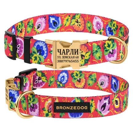 Нашийник для собак Bronzedog Urban Folk нейлоновий з металевою пряжкою золотистого кольору кораловий S — Фото 2