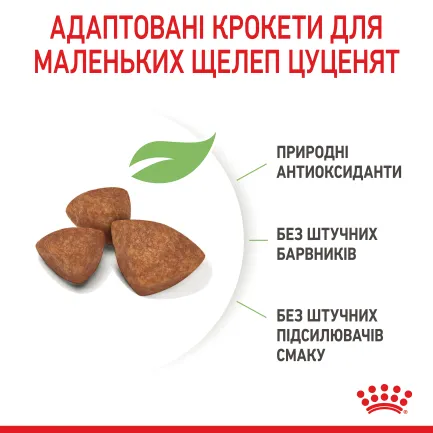 Сухий корм Royal Canin XSMALL PUPPY для цуценят мініатюрних порід 1,5 кг — Фото 6