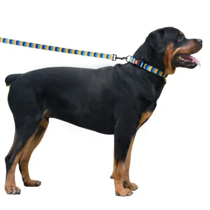 Нашийник для Собак BronzeDog Urban Зигзаг Нейлоновий з Пластиковою Пряжкою Жовто-Синій L — Фото 4