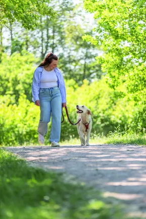 Повідок Trixie Cavo регульований для собак L–XL 2 м d 18 мм рудий/графітовий — Фото 2
