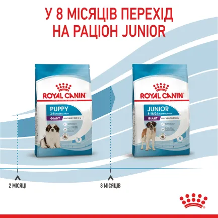 Сухий корм Royal Canin GIANT PUPPY для цуценят гігантських порід 15 кг — Фото 6