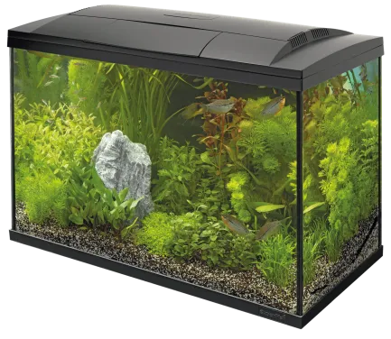 Акваріумний стартовий набір SuperFish Start 150 Aquarium Kit Black (A4050381)