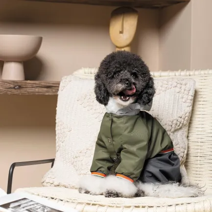 Дощовик Pet Fashion «Jimi» для собак, розмір M, зелений (лімітована серія) — Фото 5