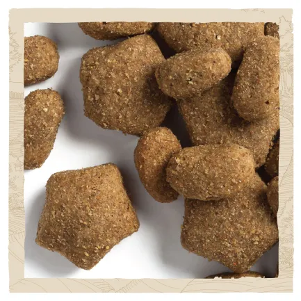 Сухий корм DOG CHOW Active Adult 1+ для дорослих собак з підвищеною активністю з куркою 14 кг — Фото 8