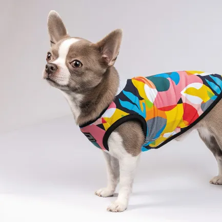 Борцівка Pet Fashion «Cool» для собак, розмір XS, з принтом — Фото 4