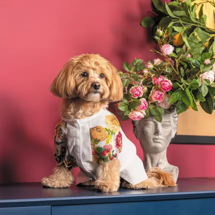 Сорочка Pet Fashion Соломія для собак дівчинка біла S — Фото 3