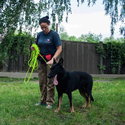 Повідець для Собак Bronzedog Active зі Шнура Тренувальний Салатовий L — Фото 9