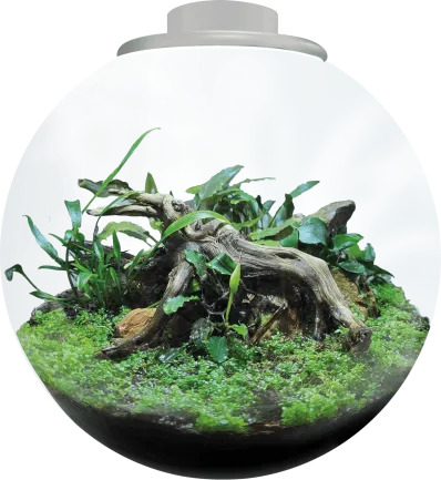 Акваріумний набір BIO ART BOWL 225 WHITE (A4056015)