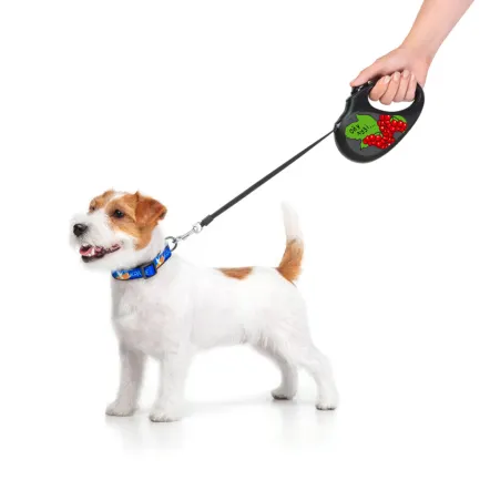 Повідець-рулетка для собак WAUDOG R-leash, малюнок "Калина", S, до 15 кг, 5 м, світловідбиваюча стрічка чорний — Фото 8