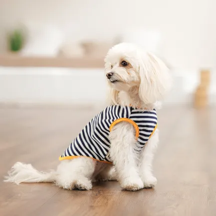 Борцівка Kale ТМ Pet Fashion для собак XXS смугаста — Фото 3