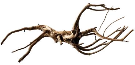 Павутинне дерево BLACK SPIDER WOOD LARGE (A4080390)