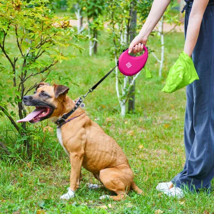 Повідець-рулетка для собак WAUDOG R-leash з контейнером для пакетів, світловідбивна стрічка, L, до 40 кг, 5 м, рожевий — Фото 5