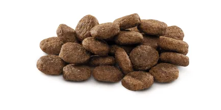 Сухий корм Brit Premium Dog Junior L для цуценят та юніорів великих порід, з куркою, 3 кг — Фото 1