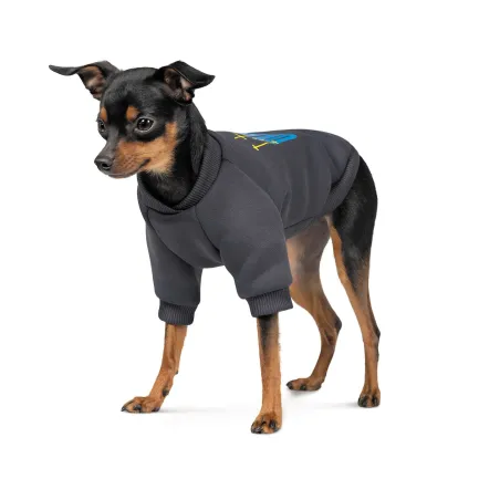 Толстовка Pet Fashion "I stand with" для собак, розмір M, сіра — Фото 1