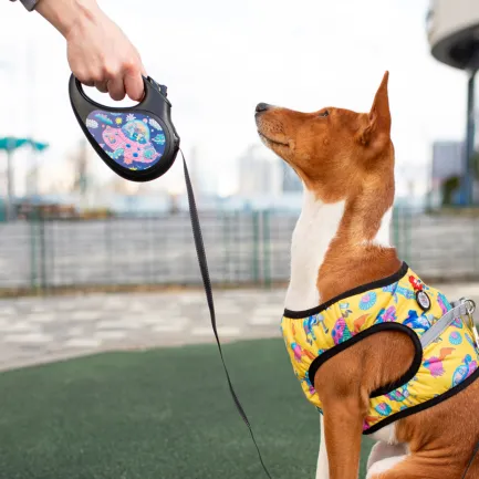 Повідець-рулетка для собак WAUDOG R-leash, малюнок "Рік та Морті 1", L, до 50 кг, 5 м, світловідбиваюча стрічка чорний — Фото 9