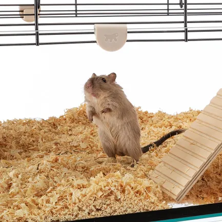 Ferplast CAGE KARAT 80 Клітка з склян піддоном для мишей та хом'яків — Фото 4