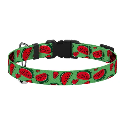 Нашийник для Котів BronzeDog Urban Fruits Нейлоновий з Пластиковою Пряжкою та Дзвіночком Кавун XS — Фото 2