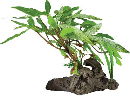 REPTO PLANT ON DECO THREE TIP LEAF (R5100425) Штучна рослина для тераріума