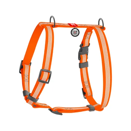 Шлея для собак водостійка анатомічна Н-подібна WAUDOG Waterproof з QR-паспортом, світловідбивна, пластикова пряжка-фастекс, М, Ш 20 мм, А 40-66 см, В 50-80 см, помаранчевий — Фото 1
