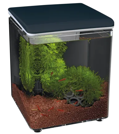 Акваріум акриловий - Superfish Home 8 BLACK (A4051255)