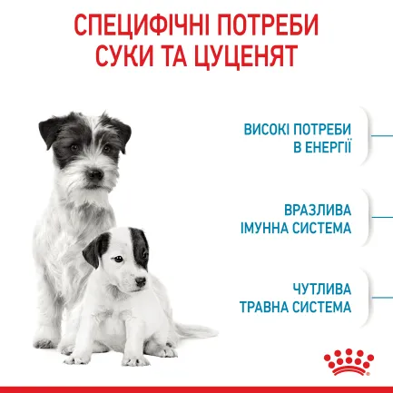 Сухий корм Royal Canin MINI STARTER для дорослих собак малих порід 8 кг — Фото 3
