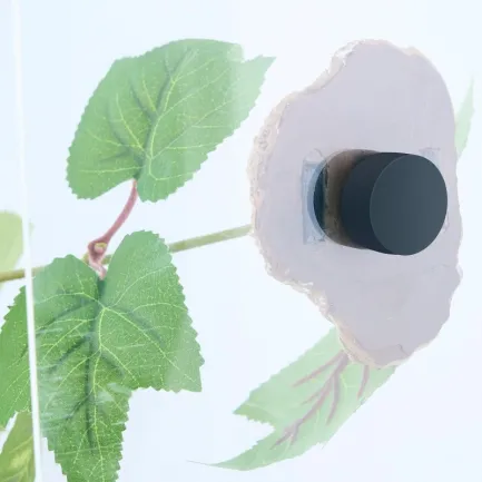Штучна рослина Repti‑Zoo Magnetic Plant 63 см (TP084) – магнітний штучний плющ для тераріумів — Фото 1