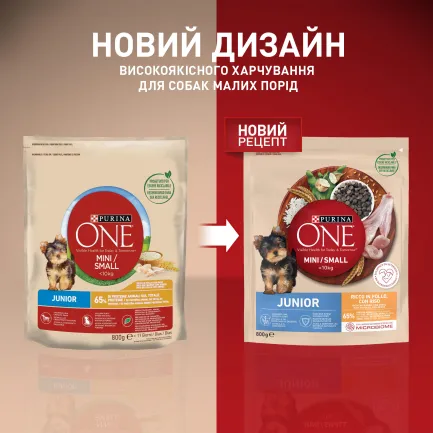 Сухий корм PURINA ONE Mini/Small Junior для цуценят дрібних порід з куркою 800 г — Фото 5