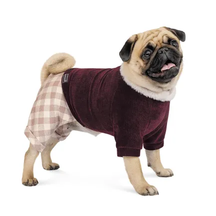 Костюм Pet Fashion «Spell» для собак, розмір S, бордовий — Фото 1