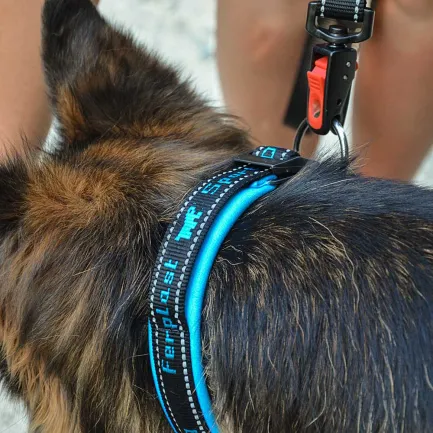 Ferplast SPORT DOG C25/55 BLUE Нашийник, нейлон — Фото 2