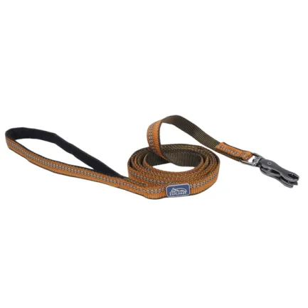 Coastal K9 Explorer Leash КОСТАЛ К9 ЕКСПЛОРЕР світловідбивний повідець для собак, 1.6смХ1.8м Полум’я
